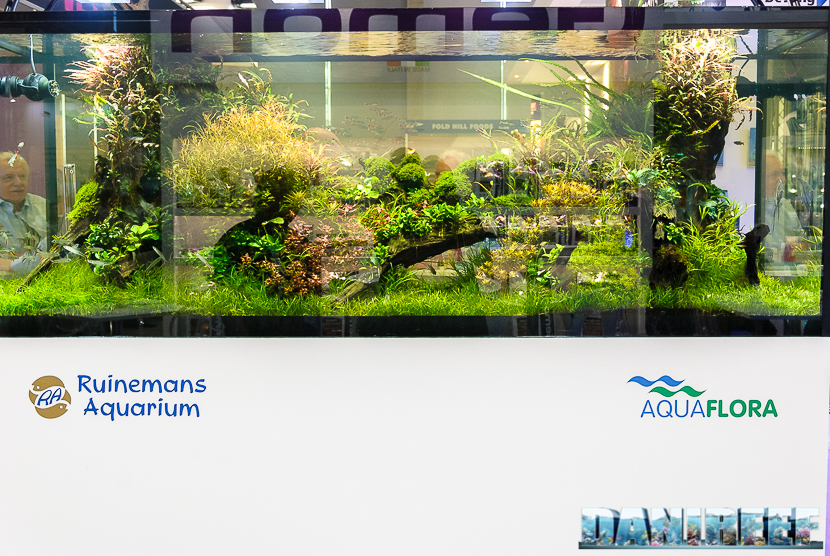 I cambi d’acqua nell’acquario dolce, quando farli o non farli