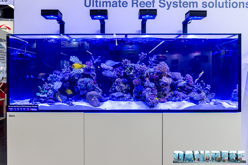 Acquario marino allestito in fiera