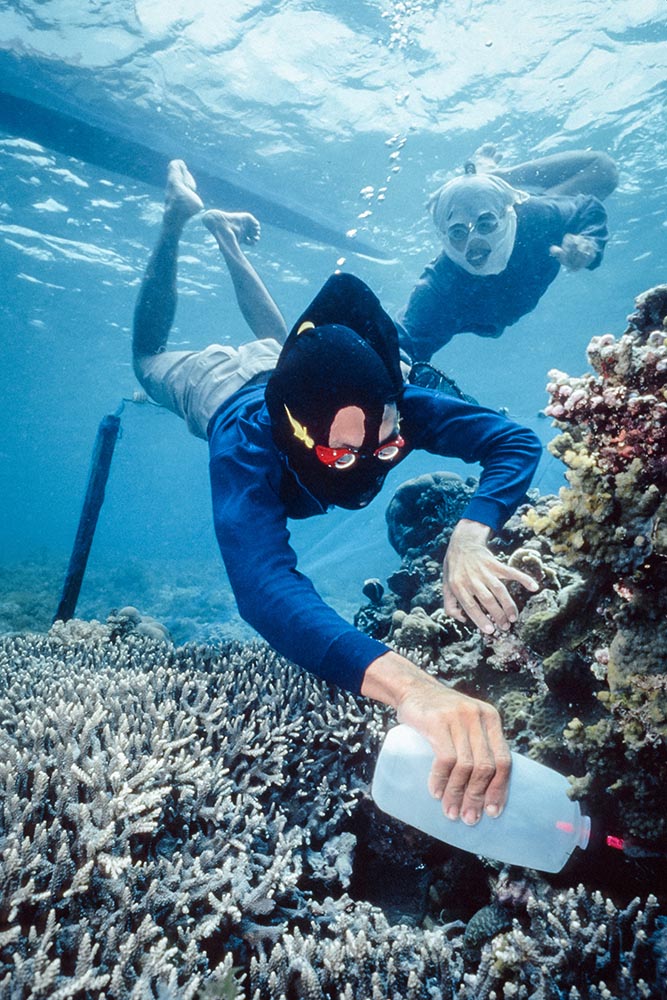 Un pescatore delle Filippine durante una sessione di pesca col cianuro. Image Credit: Howard Hall / SeaPics.com Un pescatore delle Filippine durante una sessione di pesca col cianuro. Image Credit: Howard Hall / SeaPics.com
