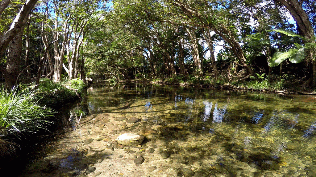Mossman Gorge nel Parco nazionale Mount Lewis