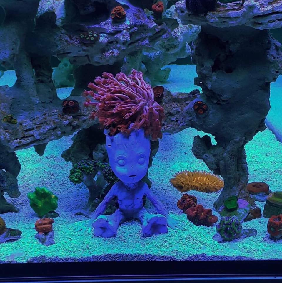 Portatalee a forma di Groot
