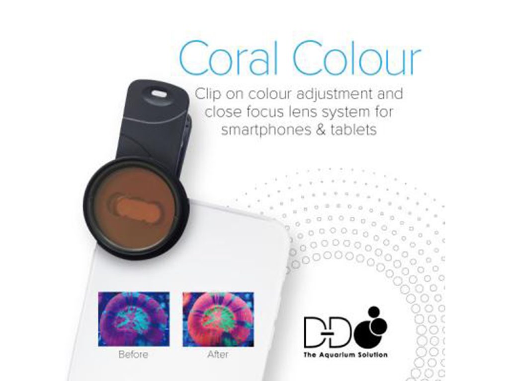 Coral Colour Lens