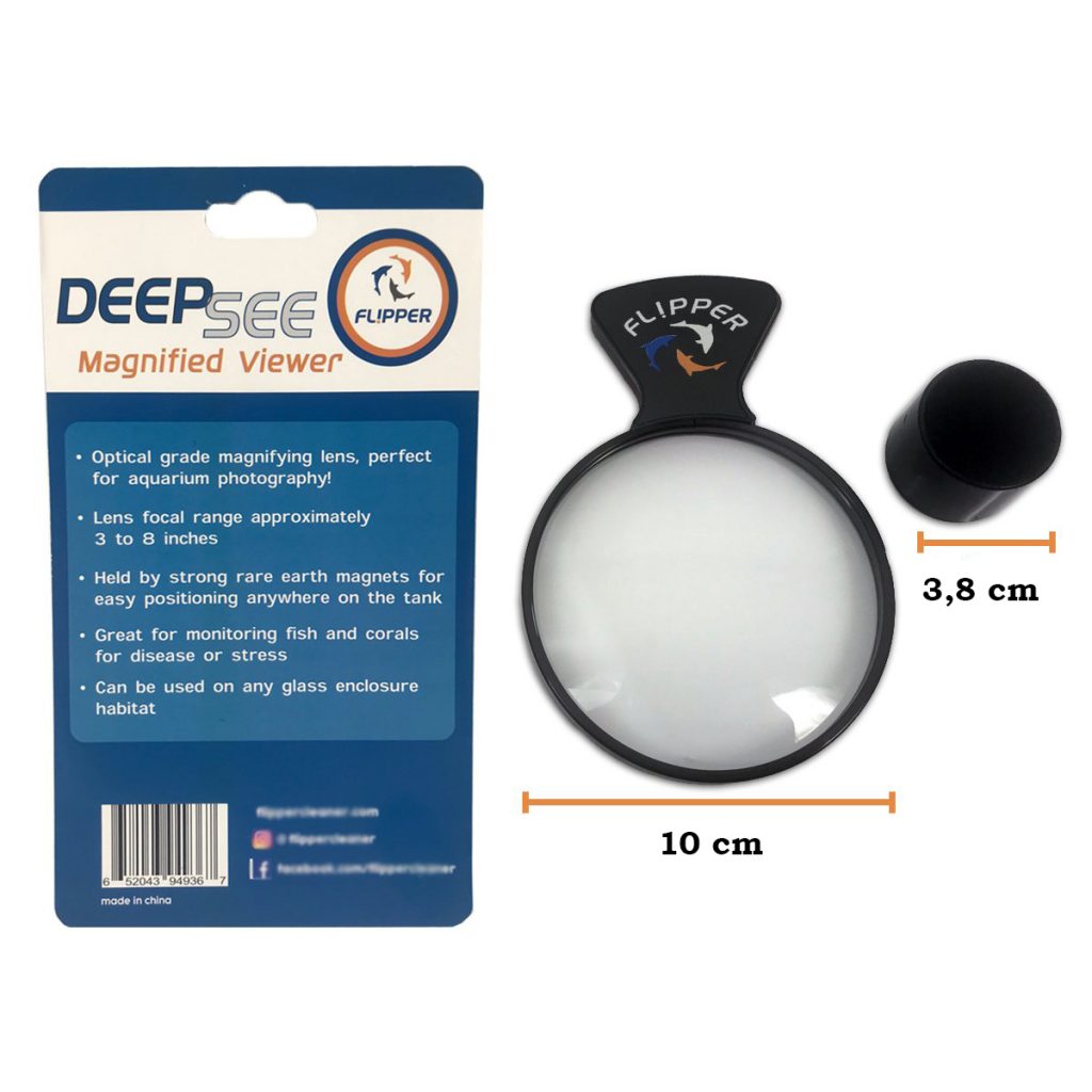 DeepSee Magnified Viewer