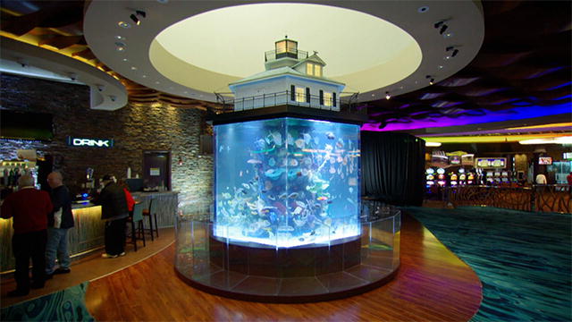Acquari di famiglia, installazione a Las vegas