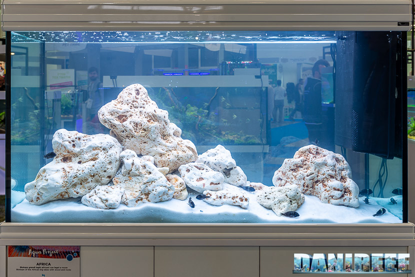 Acquario di ciclidi africani in mostra all'Acqua Project 2019 dello Zoomark