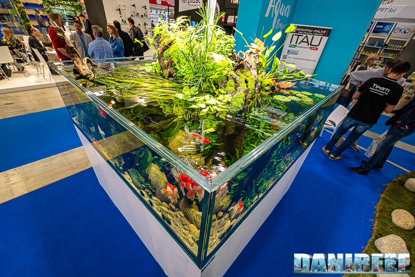 Aqua project allo Zoomark 2019