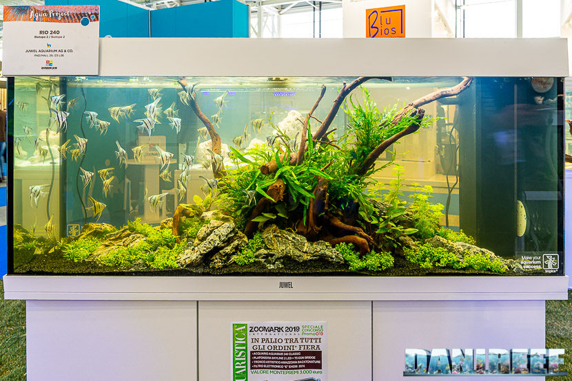 Acquario biotopo con pterophyllum scalari in mostra all'Acqua Project 2019 dello Zoomark