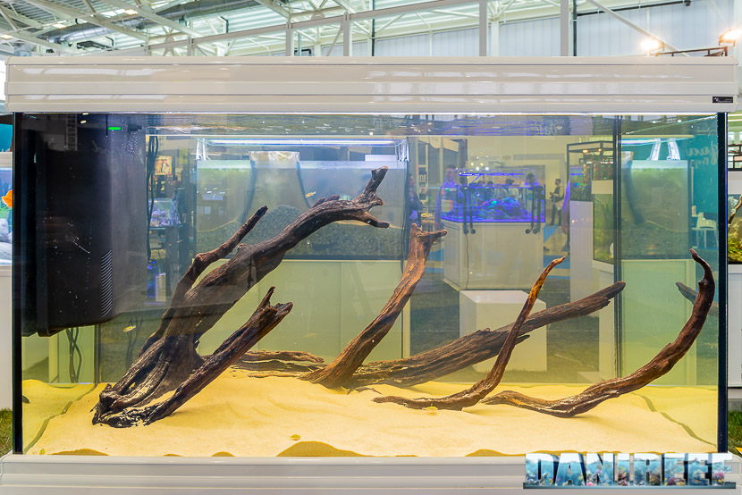 Acquario biotopo di acqua salmastra in mostra all'Acqua Project 2019 dello Zoomark