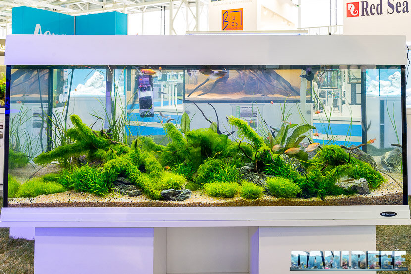 Acquari biotopi in mostra all'Acqua Project 2019 dello Zoomark