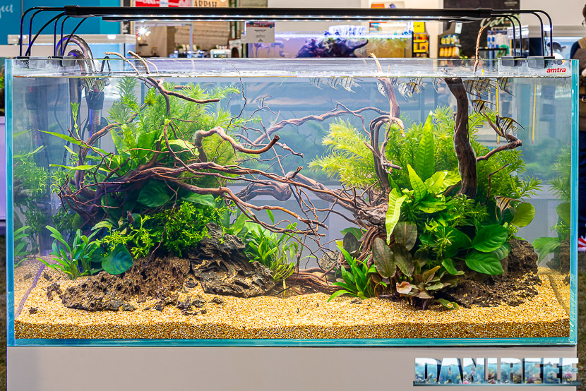 Acquari biotopi in mostra all'Acqua Project 2019 dello Zoomark