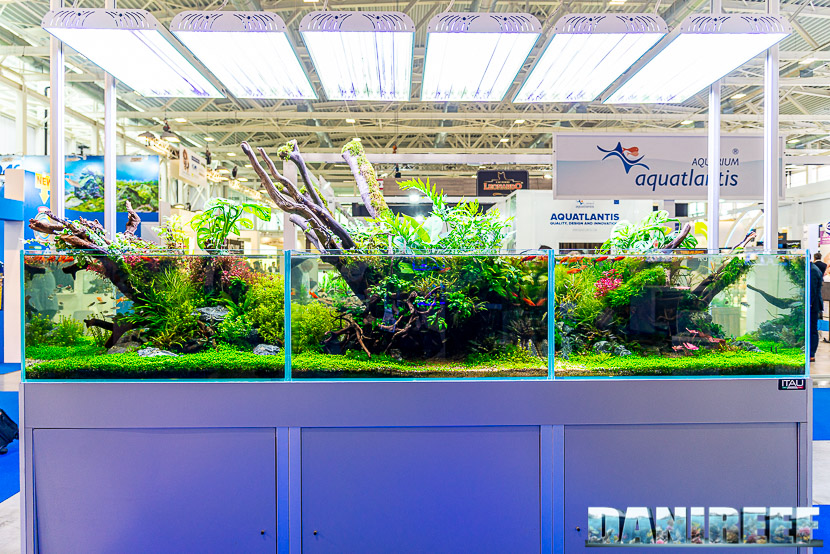 Acquario in mostra all'Acqua Project 2019 dello Zoomark