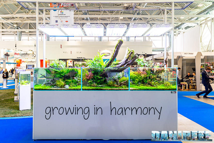 Aqua project allo Zoomark 2019