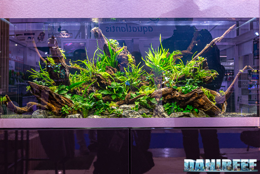 Fiera Zoomark 2019 a Bologna: un acquario allestito in aquascaping presso lo stand OASE