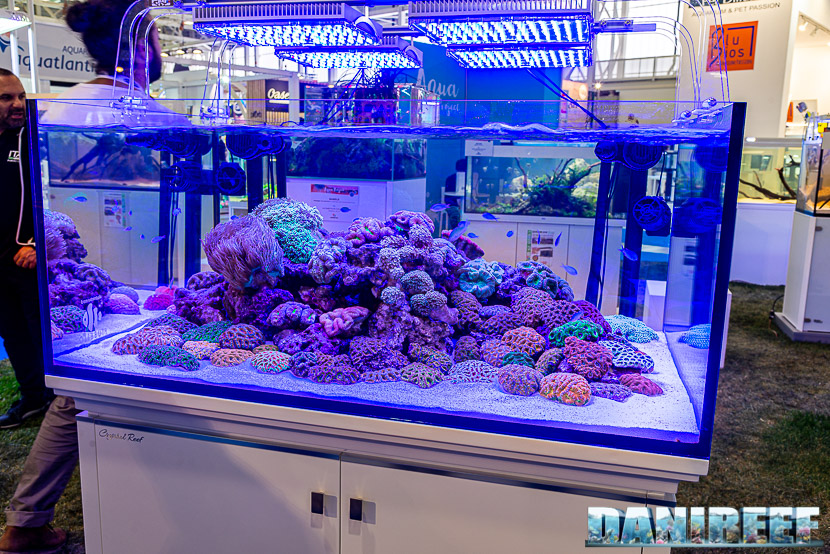 Acquario marino in mostra all'Acqua Project 2019 dello Zoomark