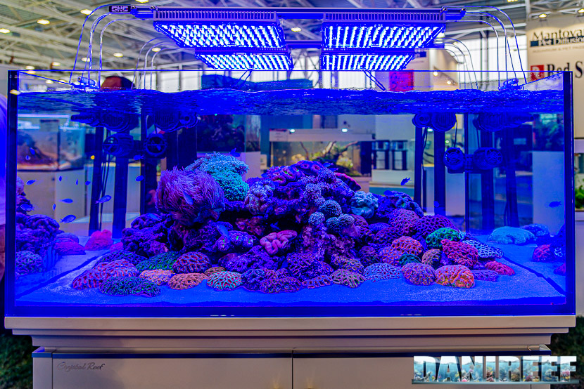 Acquario marino in mostra all'Acqua Project 2019 dello Zoomark