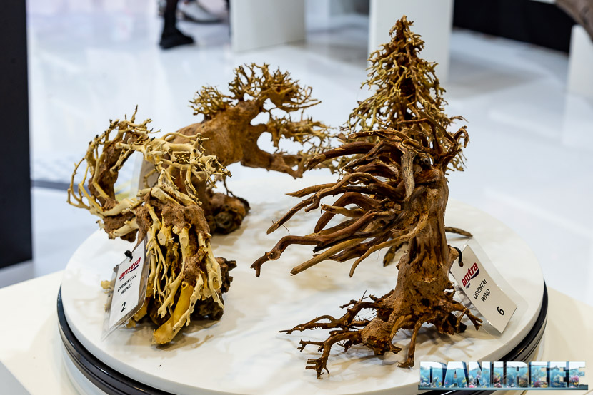 Come allestire un bonsai in acquario