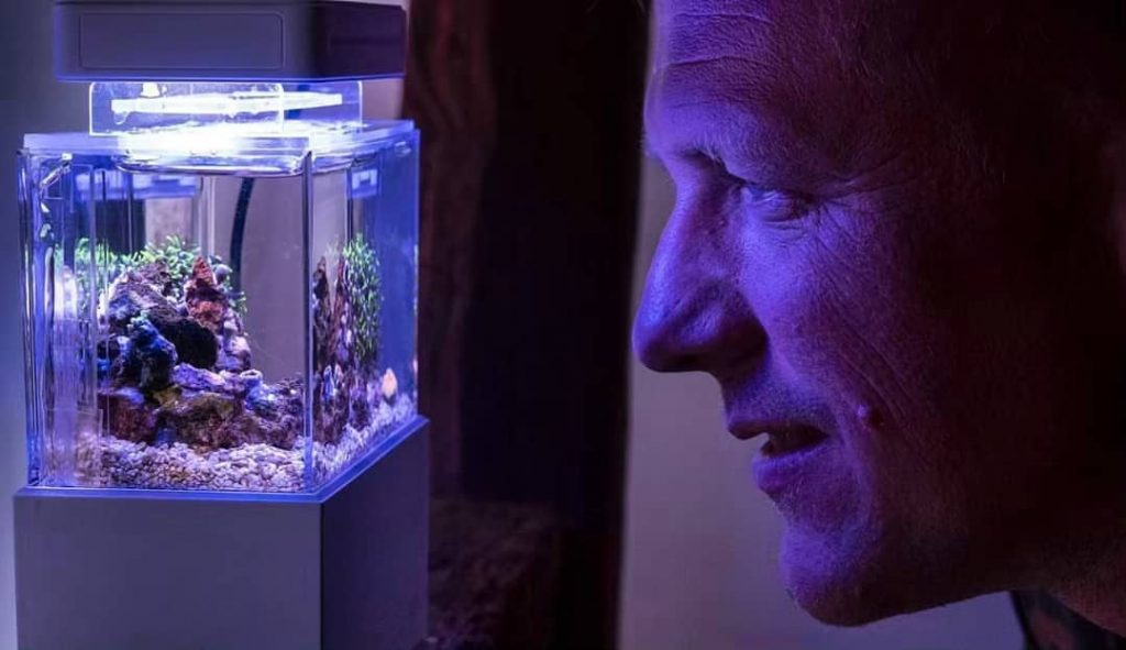 Mini Complete Tank, il più piccolo acquario marino del mondo
