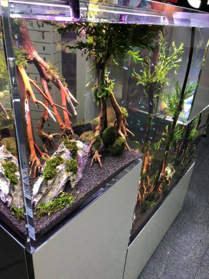 L’acquario Tetris della New Wave - design allo stato puro