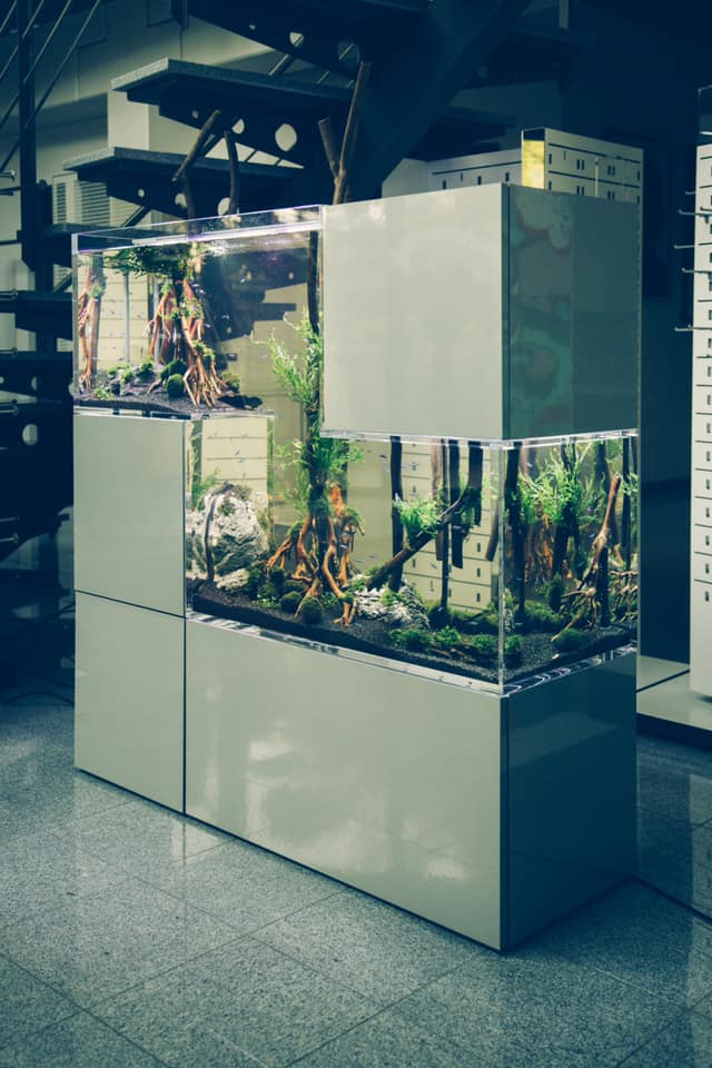 L’acquario Tetris della New Wave - design allo stato puro