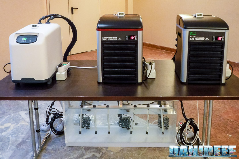 Refrigeratori a confronto: da sinistra Teco Tr 20, Teco Tk 1000 con gas R134A, Teco Tk 1000 con gas R290