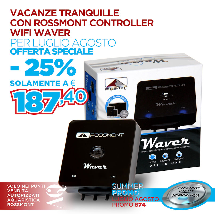 Promozione Rossmont Waver by aquaristica