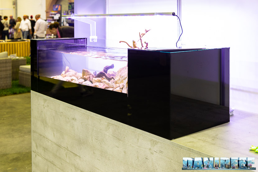Acquari Malberti presenta un acquario che riproduce una sezione di fiume