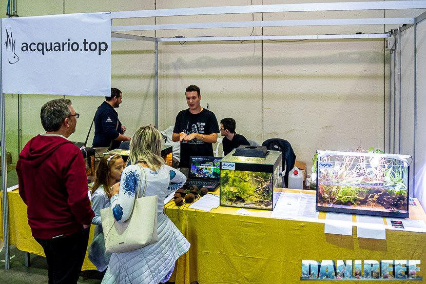 Acquario Top mostra dei bellissimi Acquari Wild al PetsFestival 2019