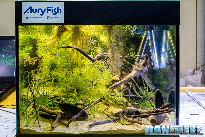Acquario Top mostra dei bellissimi Acquari Wild al PetsFestival 2019