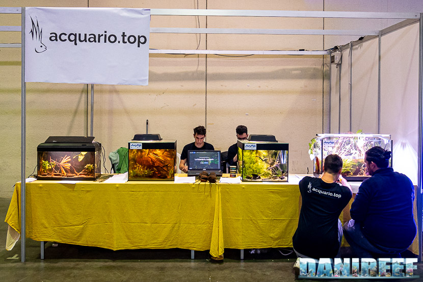 Acquario Top mostra dei bellissimi Acquari Wild al PetsFestival 2019