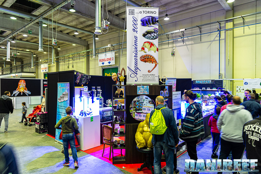 Acquarissima 2000: coralli, meduse e novità in mostra al PetsFestival