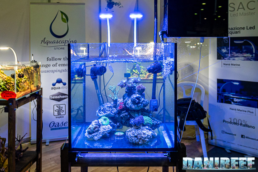 Aquascaping store propone le nuove lampade Desac ed un interessante filtro ad alghe