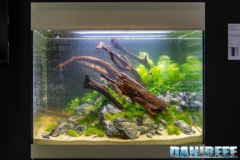 Oase porta laghetti, acquari e lo splendido biOrb al PetsFestival 2019: Aquascaping in mostra con Samuele Gamberini