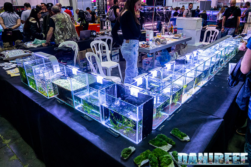 Caridine, Caridine e ancora Caridine al Caridine Show del PetsFestival 2019