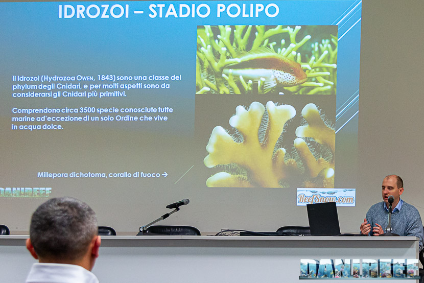 PetsFestival 2019 a Piacenza Expo: Davide Mascazzini on air