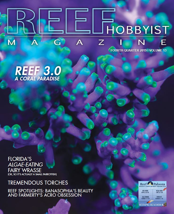 Reef Hobbyist Magazine del quarto trimestre 2019 è disponibile per la lettura
