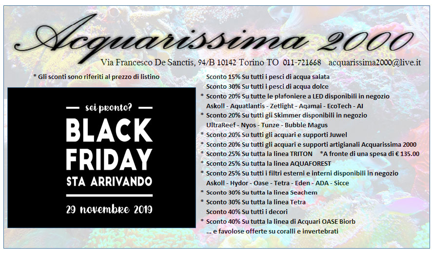 Black Friday 2019 e acquario: Scoprite tutte le offerte nei negozi fisici e online