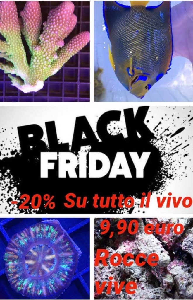 Black Friday 2019 e acquario: Scoprite tutte le offerte nei negozi fisici e online