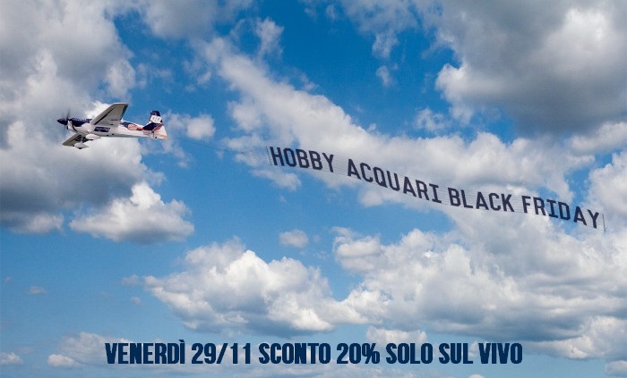 Black Friday 2019 e acquario: Scoprite tutte le offerte nei negozi fisici e online