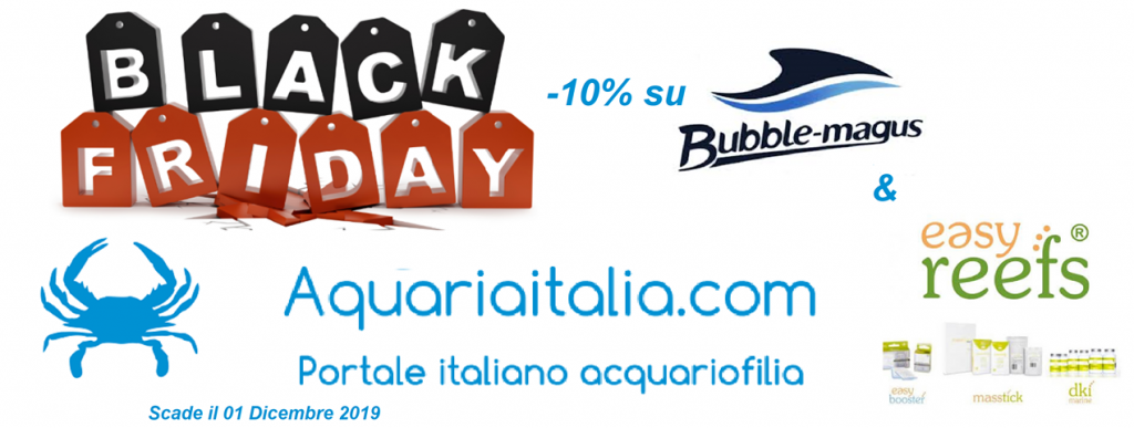 Black Friday 2019 e acquario: Scoprite tutte le offerte nei negozi fisici e online