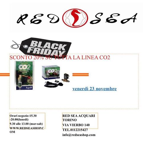 Black Friday 2019 e acquario: Scoprite tutte le offerte nei negozi fisici e online