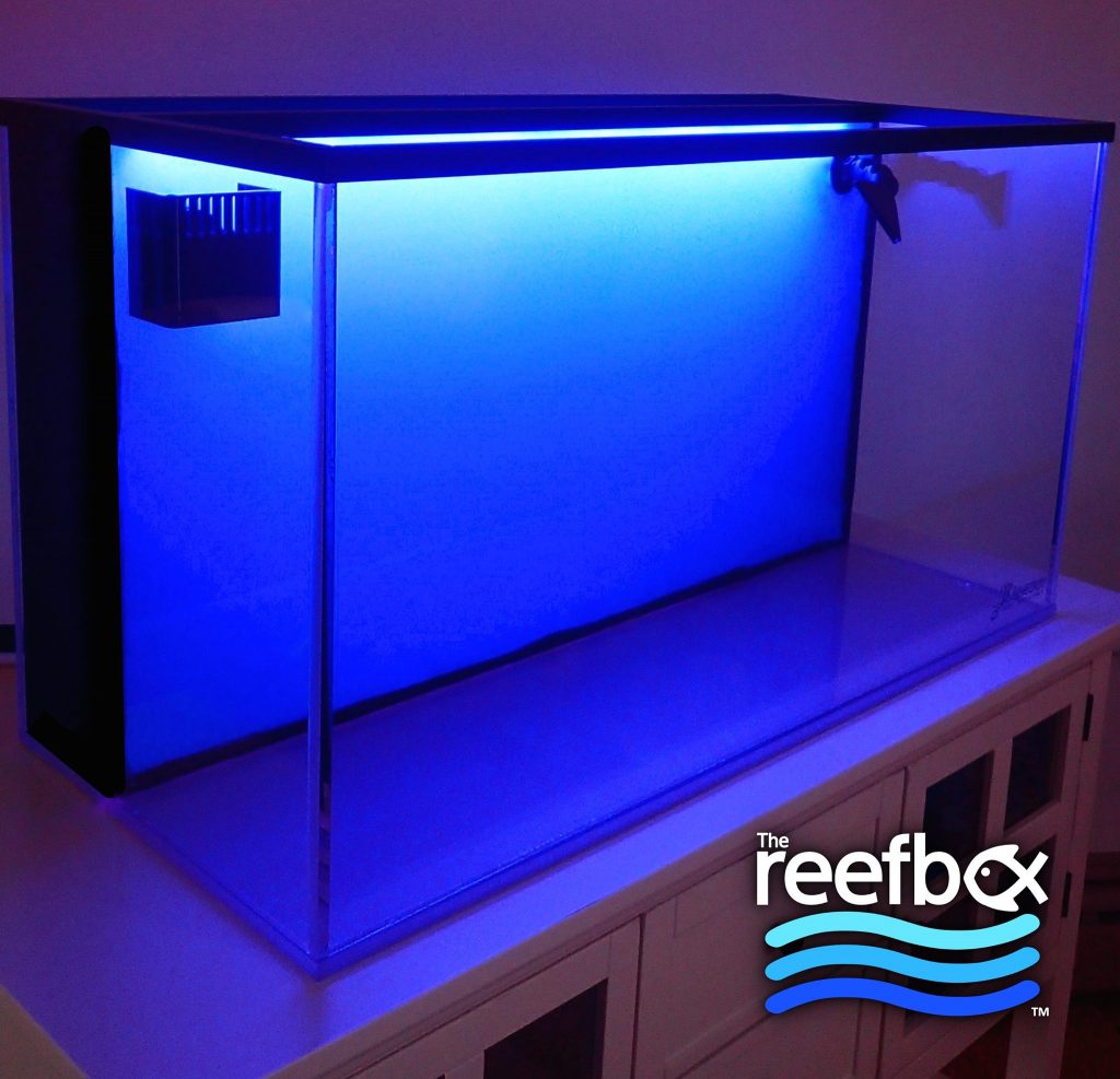 TheReefbox™ un nuovo acquario All-in-One con sfondo retroilluminato