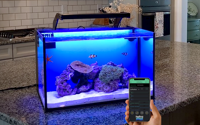 TheReefbox™ un nuovo acquario All-in-One con sfondo retroilluminato