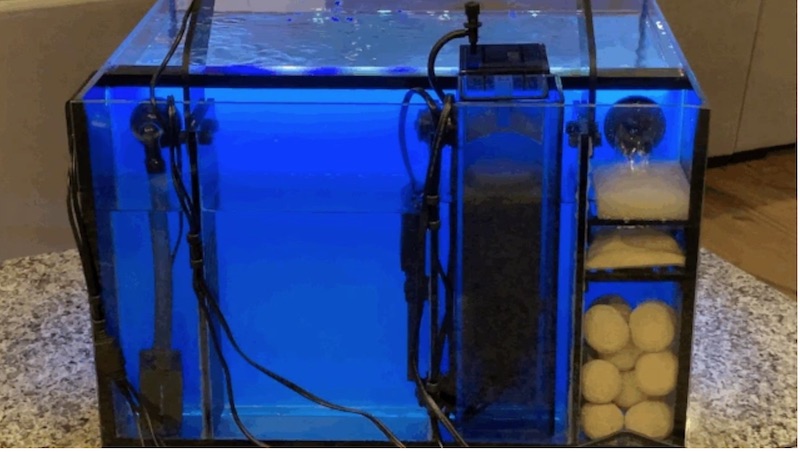 TheReefbox™ un nuovo acquario All-in-One con sfondo retroilluminato