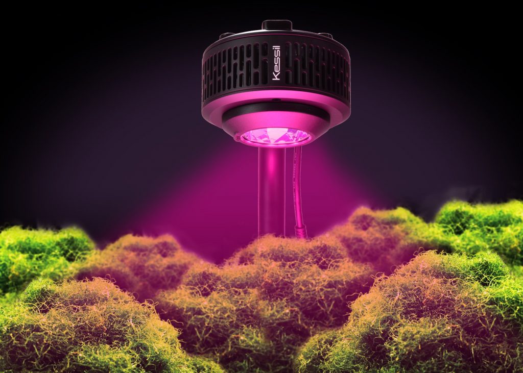 Kessil A360X Refugium – plafoniera per refugium e macroalghe