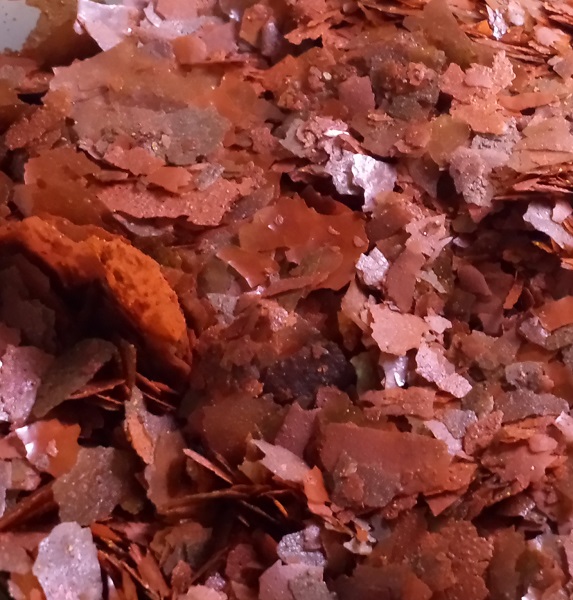 Un mangime magico per le malattie dei pesci? Si chiama Anti-Parasite Quad Flake