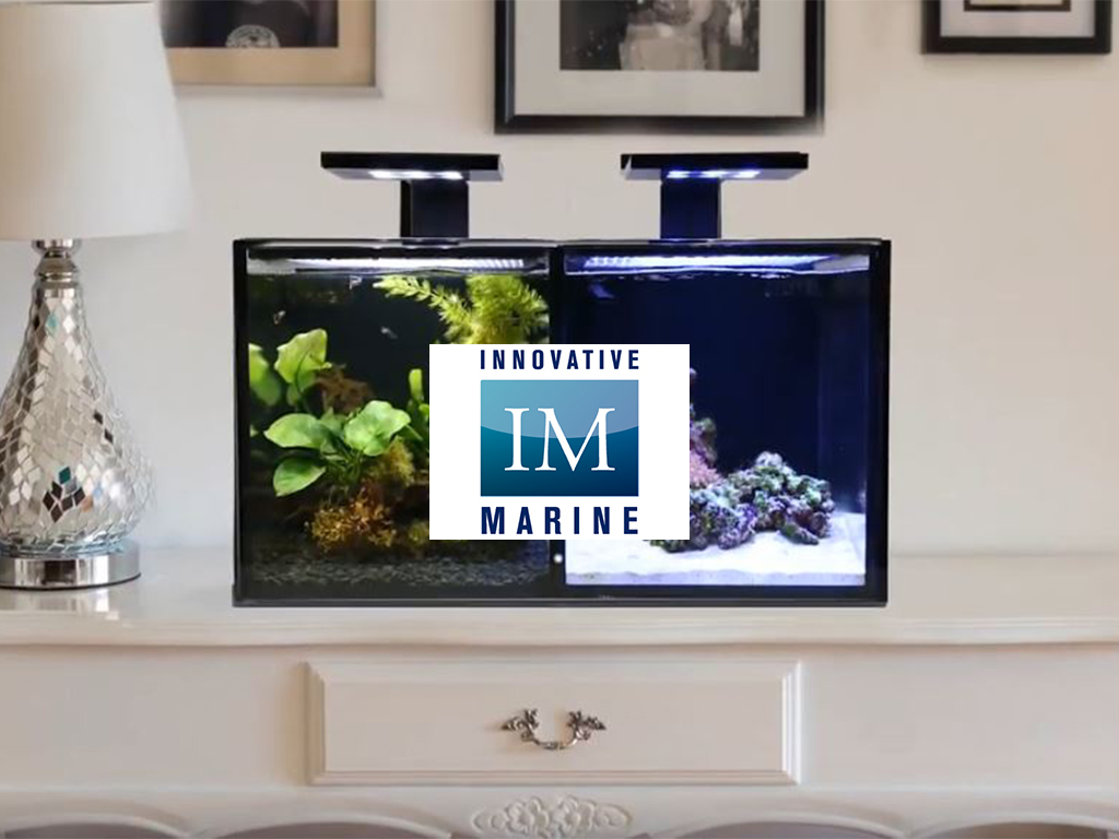 NUVO Concept Encore PRO: l'incredibile acquario 2 in 1 di Innovative Marine