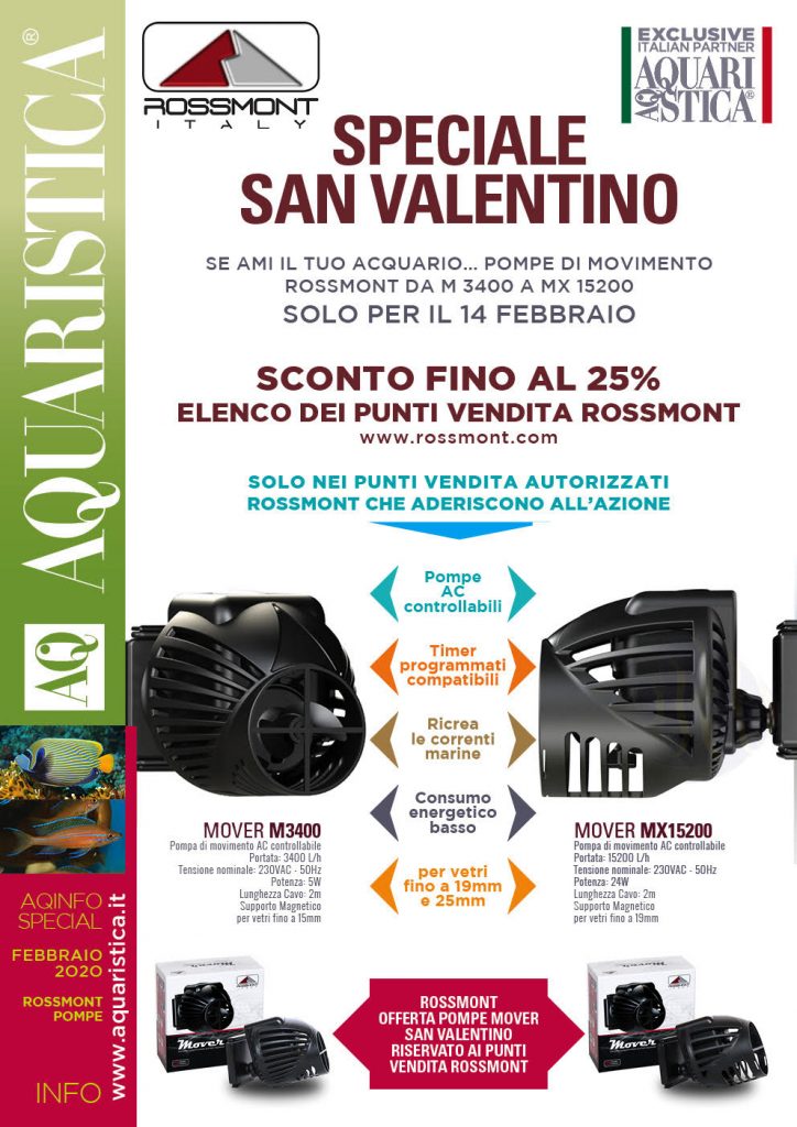 Promozione Rossmont per febbraio - 20% e San Valentino - 25%