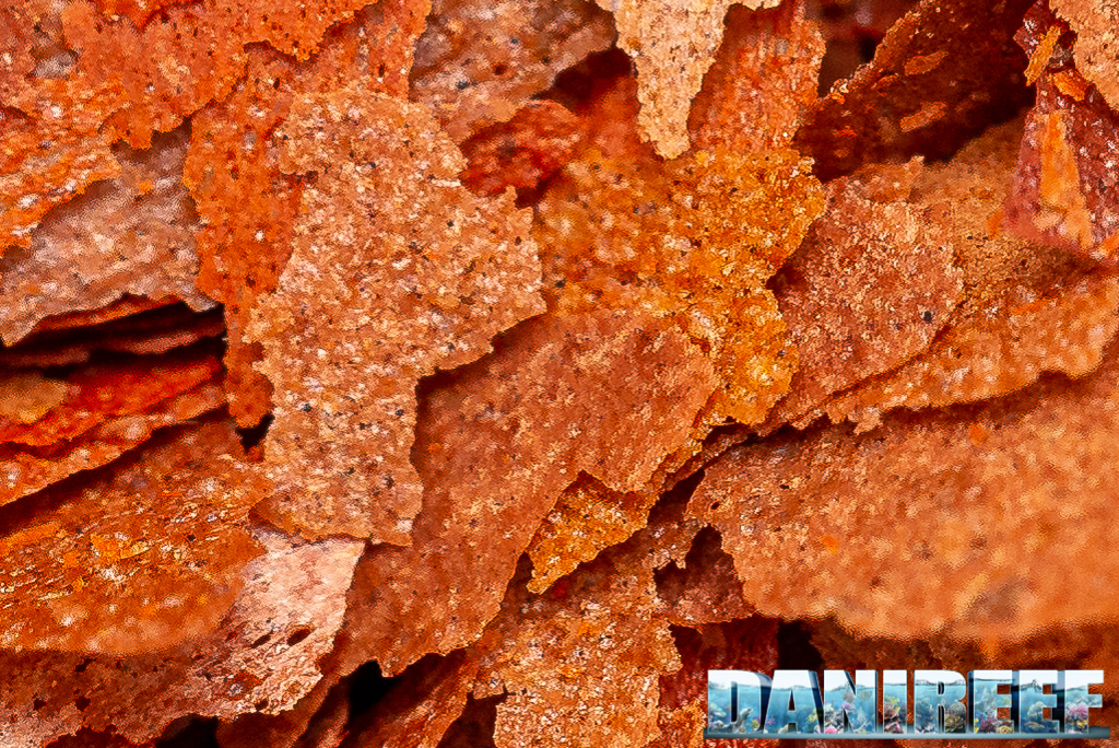 I nuovi mangimi Amtra della serie PRO: Natural, Color e Vegetal Flake