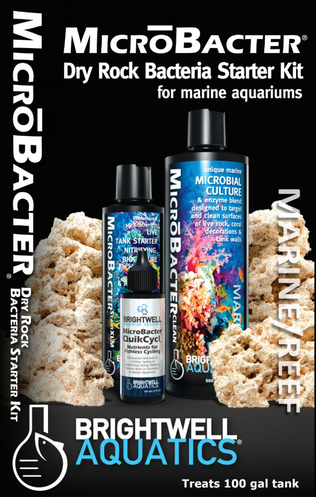 MicroBacter Dry Rock Bacteria Starter Kit per colonizzare rocce sintetiche