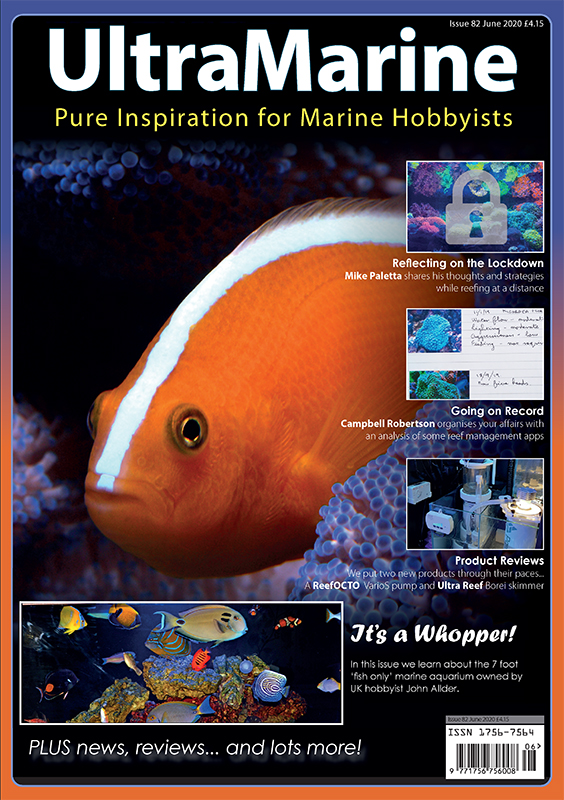 UltraMarine Magazine n. 82 è in edicola... virtuale